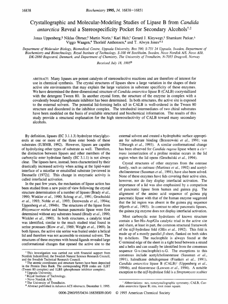 Crystallographic and MolecularModeling Studies of Lipase B From Candida Antarctica Reveal A