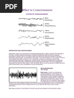 Download Access Consciousness Bookletpdf by Reikiportal SN253918949 doc pdf