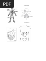 Download CIENCIAS NATURALES by Eileen SN253920124 doc pdf