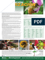 BFD A2 Poster Pollination Spanish