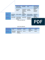 Matriz Dimensiones Sel Ser H...