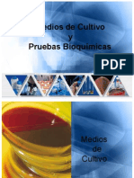 Medios de Cultivo 