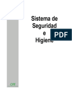 Sistema Seguridad e Higiene