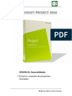 msprojectCIP 2013 1 PDF