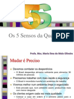 Palestra - 5 Sensos.pdf