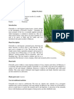 Citronella Grass: Uses, Description and Cultivation of Serai Wangi