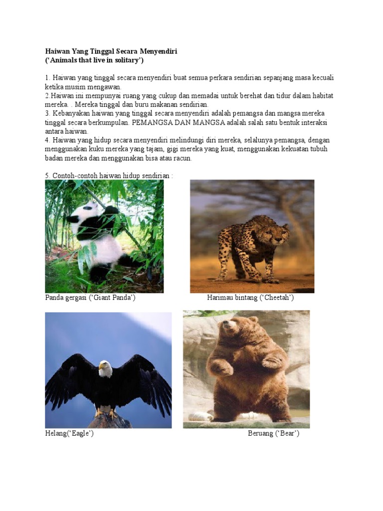 3 Haiwan Hidup Bersendirian