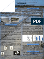 Poster Desenvolvimento Formulacao contendo lamas de aveiro III CIBAP.pptx
