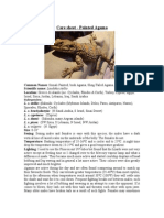 Download Care Sheet - Painted Agama by John Gamesby SN253963819 doc pdf