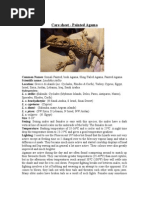 Download Care Sheet - Painted Agama by John Gamesby SN253963819 doc pdf