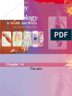 Chapter 014the Skin