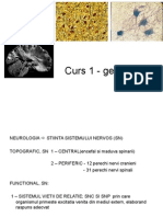 Neurologie Curs 1