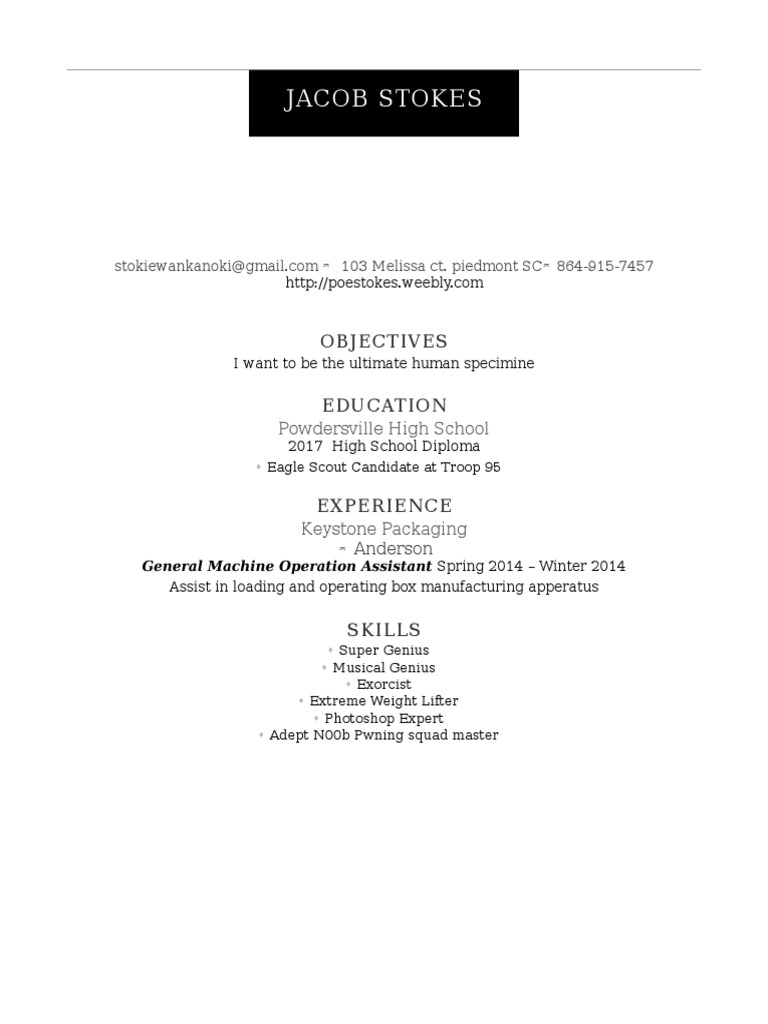 Jacob Stokes: Objectives | PDF | Career & Growth