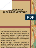 Hidrogenarea Uleiurilor Vegetale