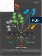 SharePoint 2010 Developer Platform Poster