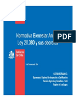 Normativa bienestar animal: ley 20.380 y decretos de protección