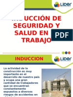 Induccion Visitas