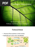 Aula 11 – Fisiologia – Fotossíntese (1)