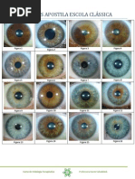 Figuras Escola Clássica