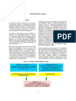 GESTION DEL RIESGO.pdf