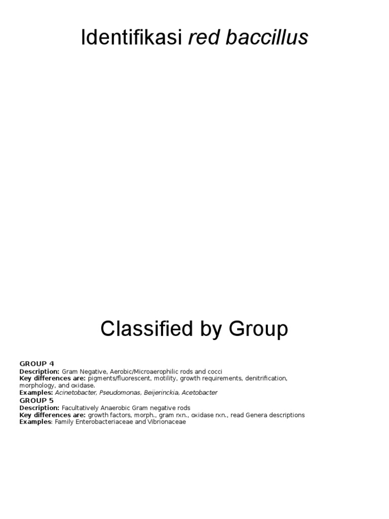Red Bacillus | PDF