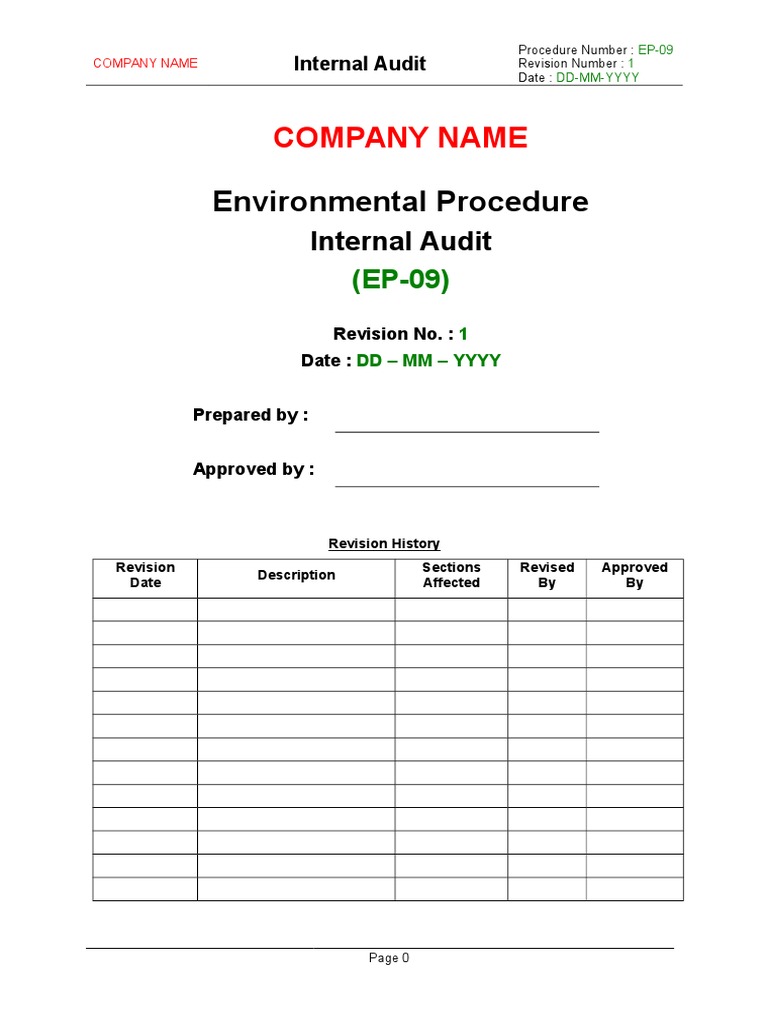 EP09 | PDF | Internal Audit | Audit