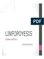 linfopoyesis_introductorio