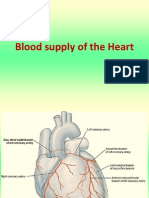 Blood Supply of Heart