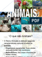 OFICINA DE CIENCIAS ANIMAIS.ppt