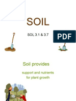 SOIl