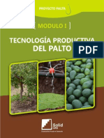 Tecnología Productiva Del Palto