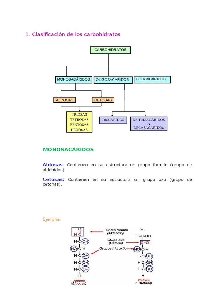 Clasificación de los carbohidratos.docx Carbohidratos