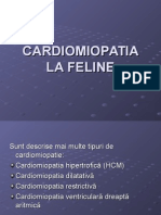 Cardiomiopatia La Feline