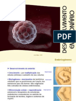 Desenvolvimento Embrionario e Parto