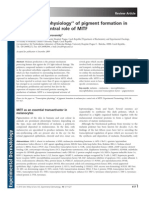 Transcription Physiology'' of Pigment Formation in Melanocytes: Central Role of MITF