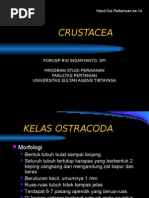 Download CRUSTACEAIIbyforceprioSN25411183 doc pdf