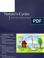 Nature's Cycles: Carbon, Water, Nitrogen, Phosphorus, Sulfur