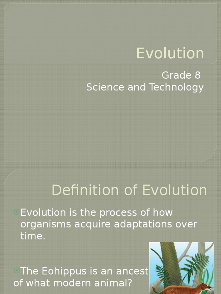 Evolution Powerpoint | PDF | Mutation | Natural Selection
