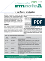 Waxflower For Cut Flower Production: Varieties