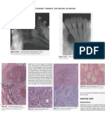 Odontogenic Tumors: Epithelial in Origin