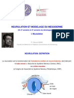 7 Neurulation Mesoderme 2014 2015 PDF
