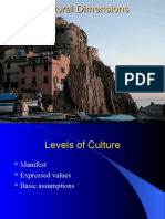 Cultural Dimensions