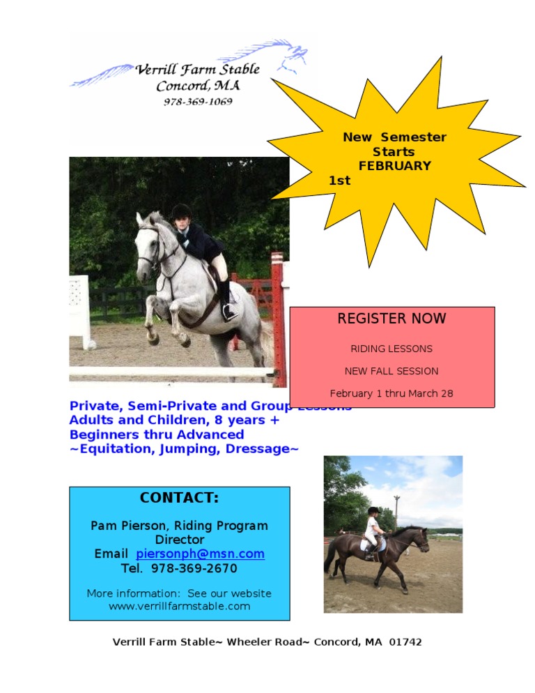 2010 Website Lesson Flyer | PDF