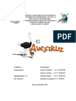 Portada Trabajo Avestruz.pdf
