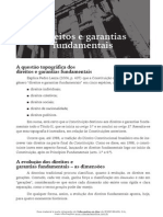 Noções Em Direito Direitos e Garantias Fundamentais._1