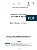 Esecuri in Afaceri PDF