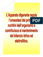 Fisiologia Del Sistema Gastrointestinale