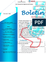 2014.01.03 Boletin Epidemiologico