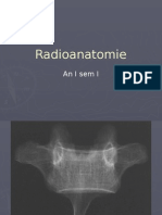 Curs Anatomie  - Radioanatomie 