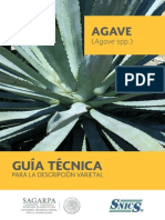 Guía técnica para la descripción varietal de agave